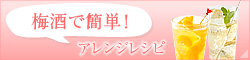 �~���ŊȒP�A�����W���V�s