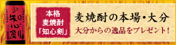 知心剣キャンペーン