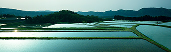 宝は田から～私たちの原点～