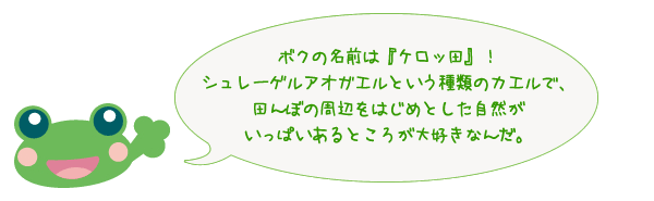 ボクの名前は『ケロッ田』！シュレーゲルアオガエルという種類のカエルで、田んぼの周辺をはじめとした自然がいっぱいあるところが大好きなんだ。