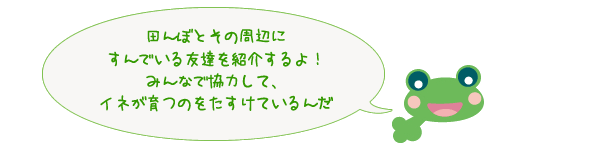 田んぼとその周辺にすんでいる友達を紹介するよ！みんなで協力して、イネが育つのをたすけているんだ