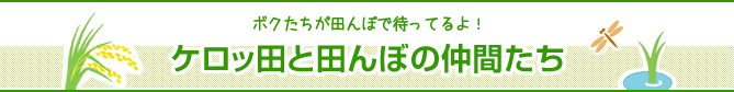 ケロッ田と田んぼの仲間たち