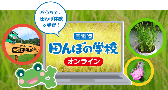 田んぼの学校オンライン | 宝酒造 田んぼの学校 | 環境活動 | 宝酒造