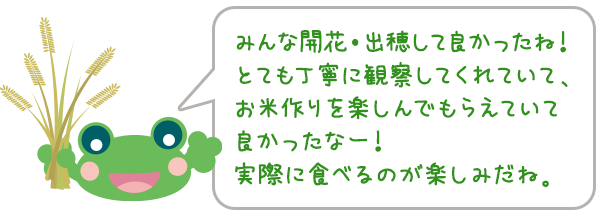 みんな開花・出穂して良かったね！ とても丁寧に観察してくれていて、お米作りを楽しんでもらえていて良かったなー！ 実際に食べるのが楽しみだね。