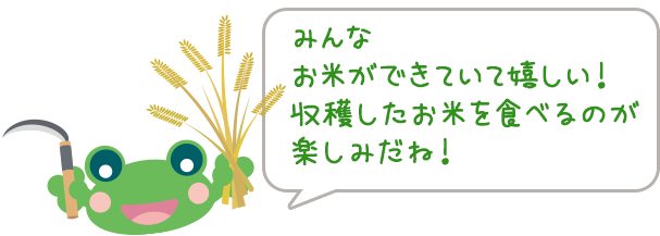 みんなお米ができていて嬉しい！
収穫したお米を食べるのが楽しみだね！