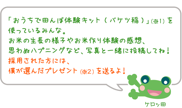 「おうちで田んぼ体験キット(バケツ稲)」（※１）を使っているみんな。
お米の生長の様子やお米作り体験の感想、思わぬハプニングなど、写真と一緒に投稿してね！採用された方には、僕が選んだプレゼント（※２）を送るよ！