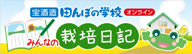 宝酒造 田んぼの学校オンライン みんなの栽培日記