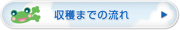 収穫までの流れ