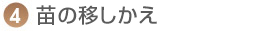 4.苗の移しかえ