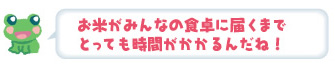 お米がみんなの食卓に届くまでとっても時間がかかるんだね！
