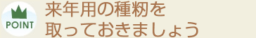 来年用の種籾を取っておきましょう