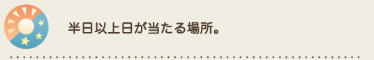 半日以上日が当たる場所。