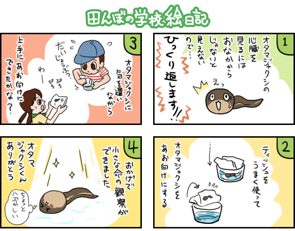 田んぼの学校絵日記