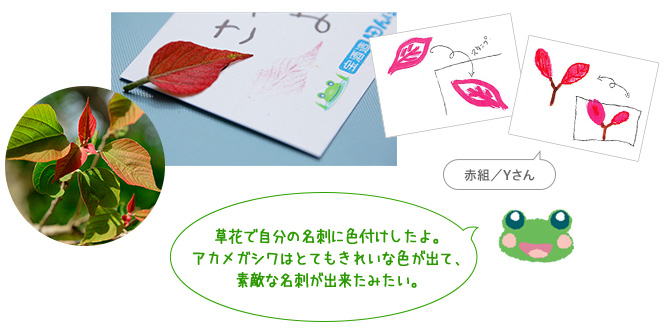 草花で自分の名刺に色付けしたよ。アカメガシワはとてもきれいな色が出て、素敵な名刺が出来たみたい。