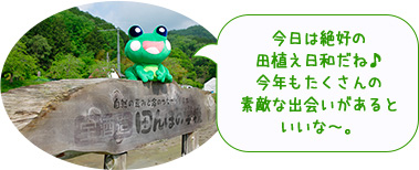 今日は絶好の田植え日和だね♪今年もたくさんの素敵な出会いがあるといいな～。