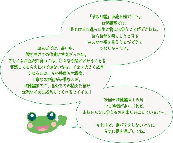 「草取り編」お疲れ様でした。自然観察では、春とはまた違った生き物に出会うことができたね。自ら自然を楽しもうとするみんなの姿を見ることができてうれしかったよ。田んぼでは、暑い中、腰を曲げての作業は大変だったね。でもイネが立派に育つには、色々な手間がかかることを実感してもらえたのではないかな。イネを大きく成長させるには、その都度その都度、丁寧なお世話が必要なんだ。収穫編までに、自分たちの植えた苗が立派なイネに成長してくれるとイイネ！次回の収穫編は１０月！少し時間があくけれど、またみんなに会えるのを楽しみにしているよ～。それまで、夏バテをしないように元気に夏を過ごしてね。