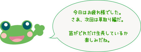 今日はお疲れ様でした。さあ、次回は草取り編だ。苗がどれだけ生長しているか楽しみだね。