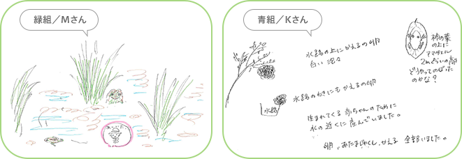 第2回 草取り編 田んぼの学校レポート 宝酒造 田んぼの学校 環境活動 宝酒造株式会社