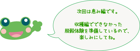 次回は恵み編です。収穫編でできなかった脱穀体験を準備しているので、楽しみにしてね。