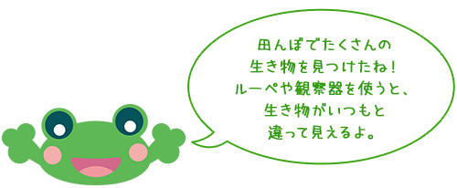 田んぼでたくさんの生き物を見つけたね！
ルーペや観察器を使うと、生き物がいつもと違って見えるよ。