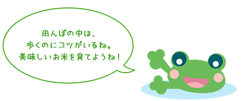 田んぼの中は、歩くのにコツがいるね。
美味しいお米を育てようね！
