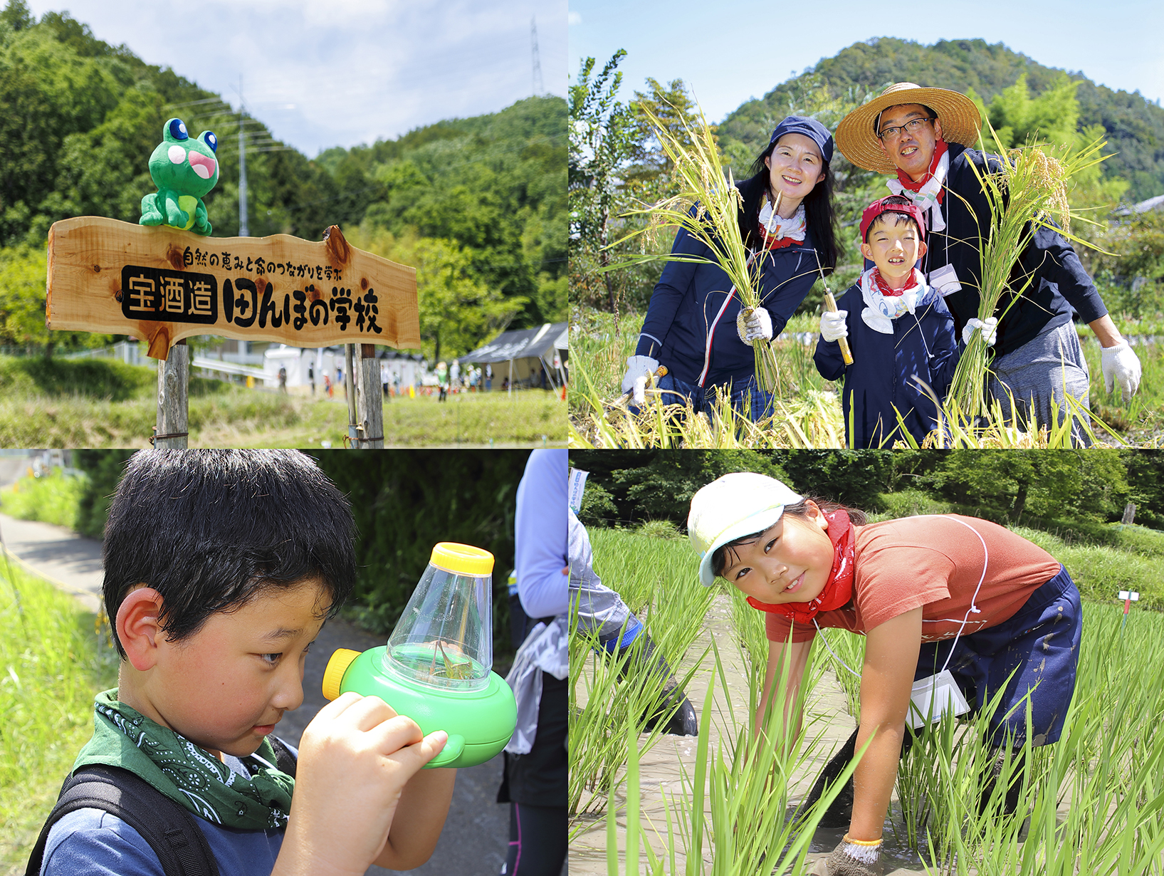 宝酒造「田んぼの学校」2024 参加者募集を開始