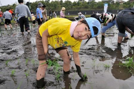 「田植え編」のひとコマ