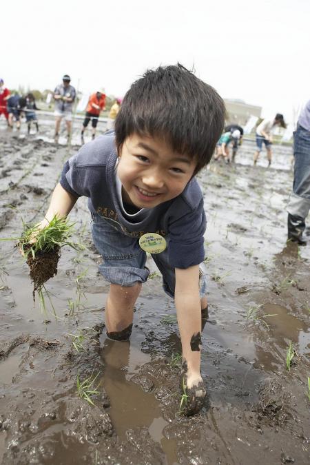 昨年の「田植え編」のひとコマ