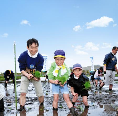 田植えの様子