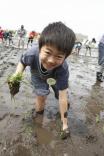 昨年の「田植え編」のひとコマ