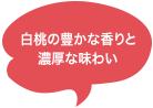 ふらのメロンのジューシーな味わい