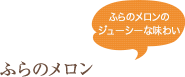 ふらのメロンのジューシーな味わい ふらのメロン