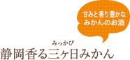 甘みと香り豊かなみかんのお酒　静岡香る三ケ日みかん