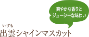 爽やかな香りとジューシーな味わい　出雲シャインマスカット