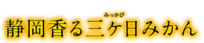 静岡香る三ヶ日みかん　静岡産“三ケ日みかん”を使用した、軽やかな香りとジューシーでしっかりとした味わいが特長のお酒です。