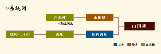 山田錦の系統図