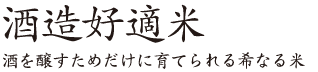 酒造好適米 酒を醸すためだけに育てられる希なる米