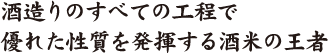 酒造りのすべての行程で優れた性質を発揮する酒米の王者
