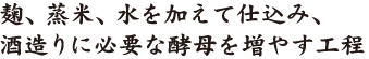 麹、蒸米、水を加えて仕込み、酒造りに必要な酵母を増やす工程