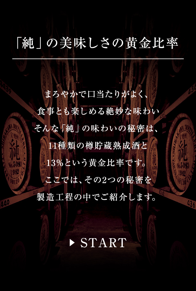 iaeon-web