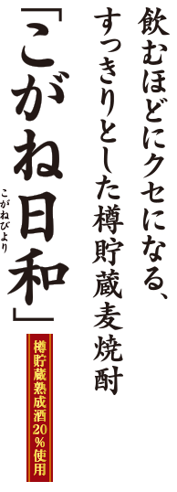 飲むほどにクセになる、
すっきりとした樽貯蔵麦焼酎「こがね日和」樽貯蔵熟成酒20%使用　新発売