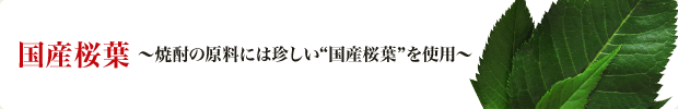 国産桜葉～焼酎の原料には珍しい"国産桜葉"を使用～