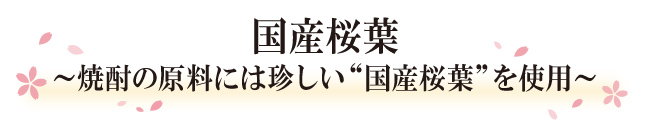 国産桜葉～焼酎の原料には珍しい"国産桜葉"を使用～