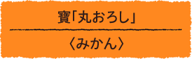 寶「丸おろし」＜みかん＞