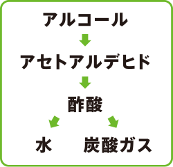 アルコール→アセトアルデヒド→酢酸→水・炭酸ガス